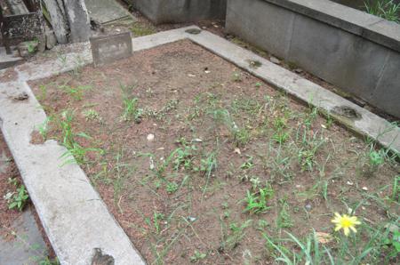 Navtlugi Jewish Cemetery