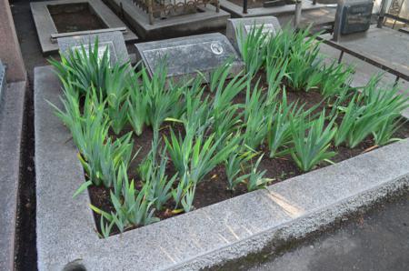 Navtlugi Jewish Cemetery