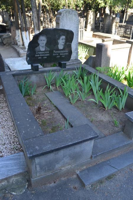 Navtlugi Jewish Cemetery