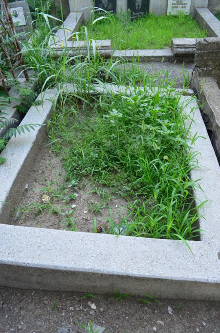 Navtlugi Jewish Cemetery