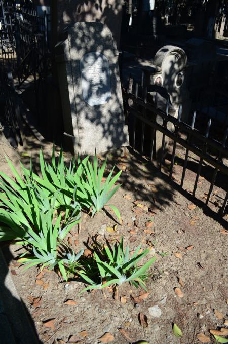 Navtlugi Jewish Cemetery