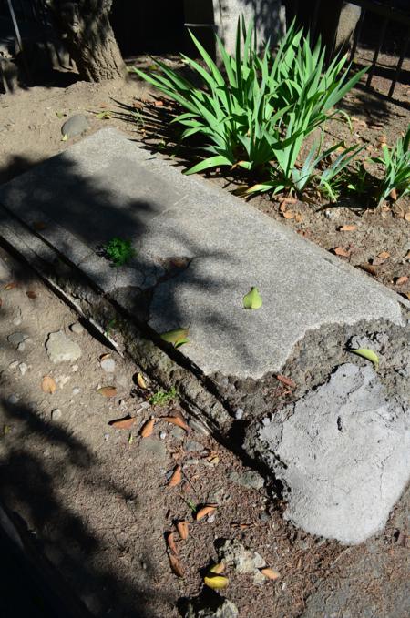 Navtlugi Jewish Cemetery