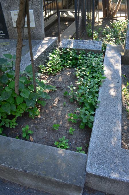 Navtlugi Jewish Cemetery