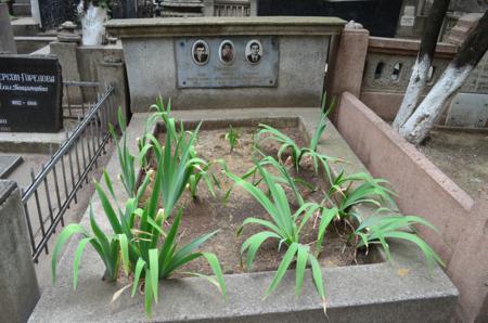 Navtlugi Jewish Cemetery