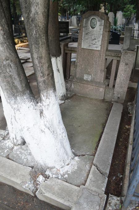 Navtlugi Jewish Cemetery