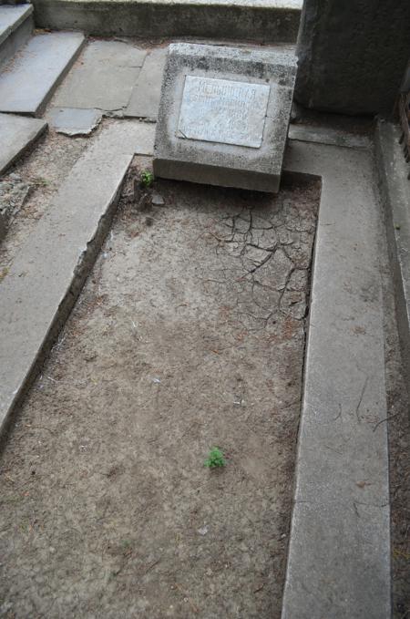 Navtlugi Jewish Cemetery