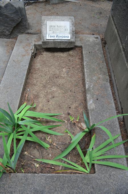 Navtlugi Jewish Cemetery