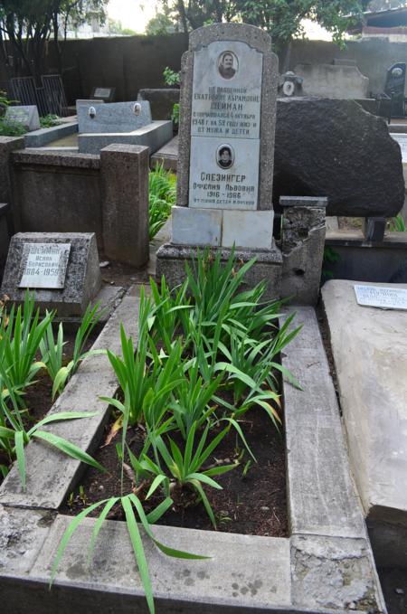 Navtlugi Jewish Cemetery