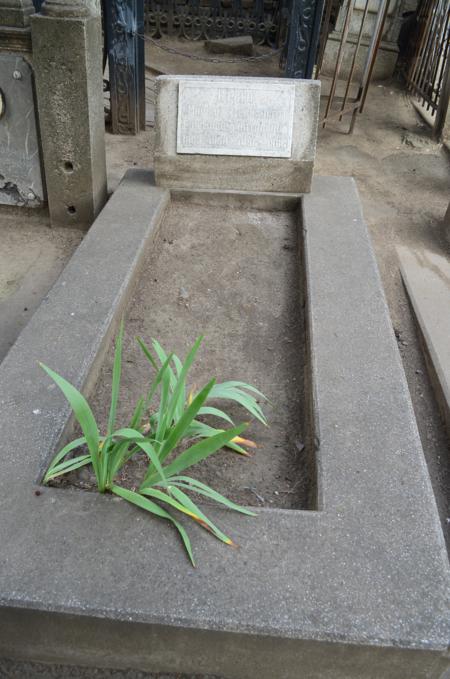 Navtlugi Jewish Cemetery