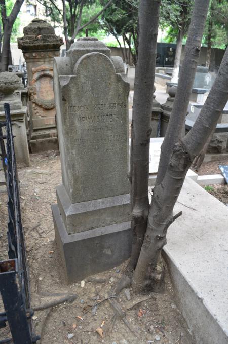 Navtlugi Jewish Cemetery