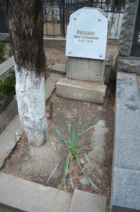 Navtlugi Jewish Cemetery