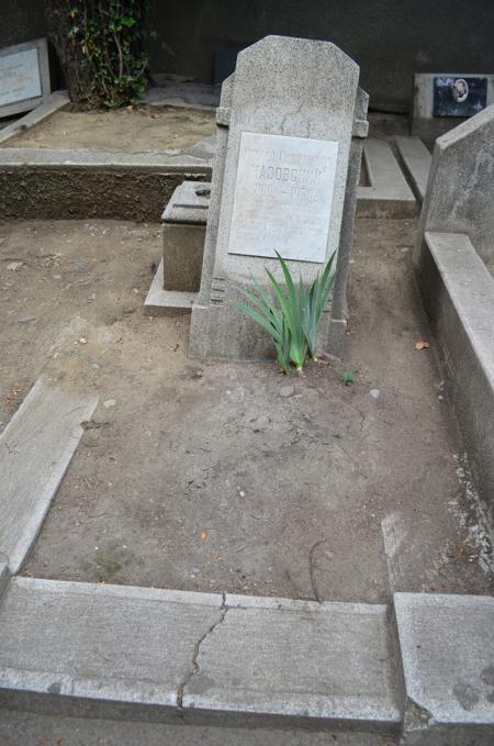 Navtlugi Jewish Cemetery