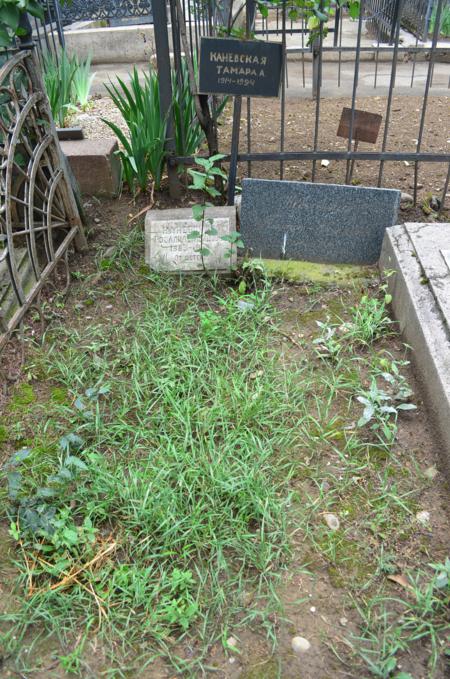 Navtlugi Jewish Cemetery