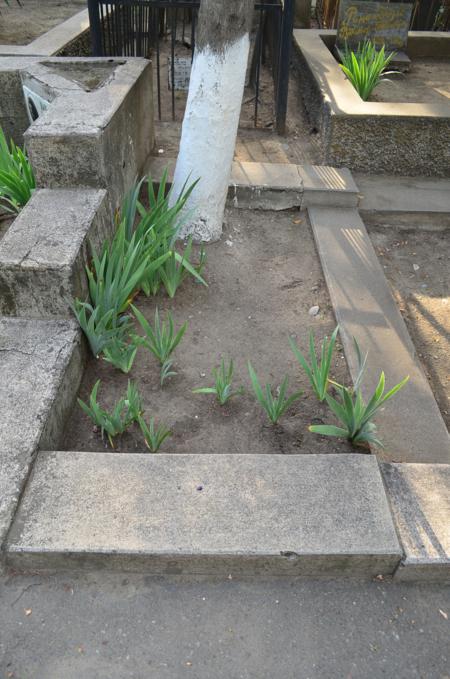 Navtlugi Jewish Cemetery
