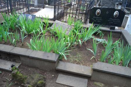 Navtlugi Jewish Cemetery