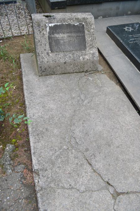 Navtlugi Jewish Cemetery