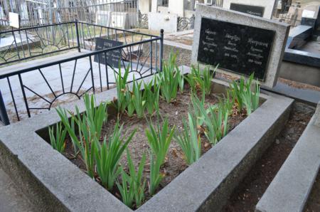 Navtlugi Jewish Cemetery