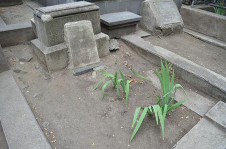 Navtlugi Jewish Cemetery