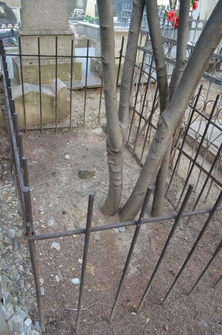 Navtlugi Jewish Cemetery