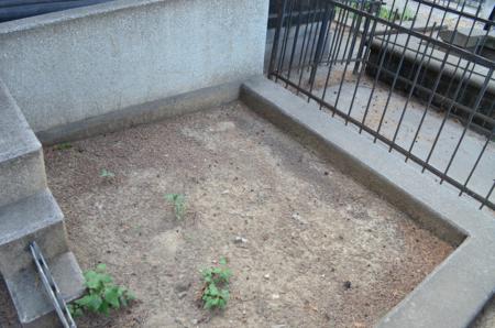 Navtlugi Jewish Cemetery