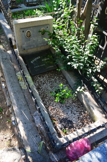 Navtlugi Jewish Cemetery