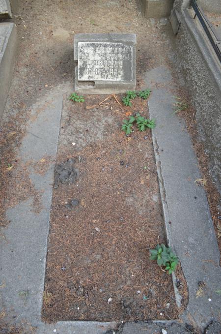 Navtlugi Jewish Cemetery
