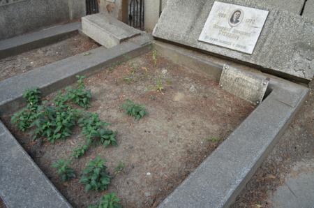 Navtlugi Jewish Cemetery