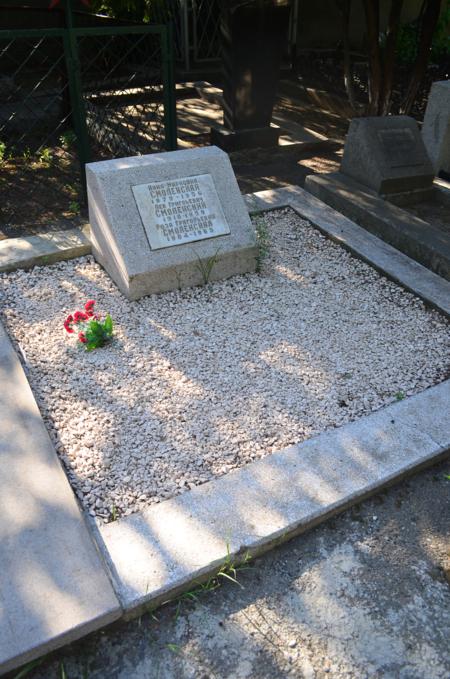 Navtlugi Jewish Cemetery