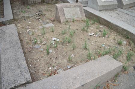 Navtlugi Jewish Cemetery