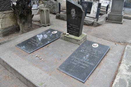 Navtlugi Jewish Cemetery