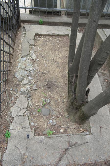 Navtlugi Jewish Cemetery