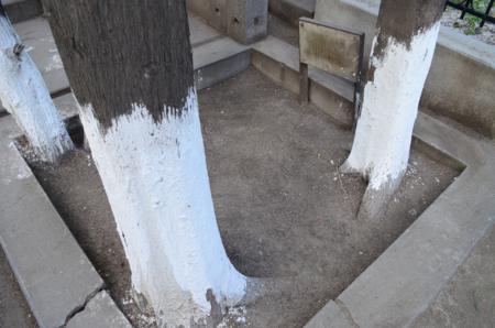 Navtlugi Jewish Cemetery