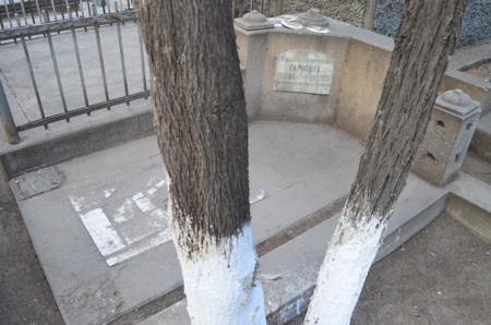 Navtlugi Jewish Cemetery