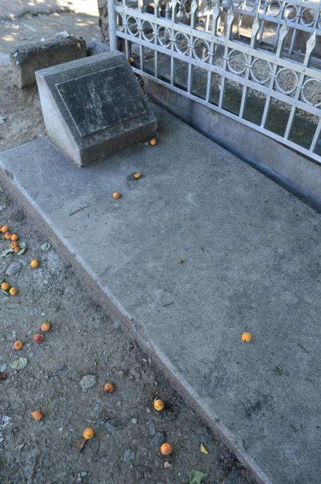 Navtlugi Jewish Cemetery