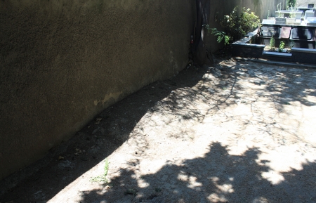 Navtlugi Jewish Cemetery