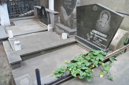 Navtlugi Jewish Cemetery