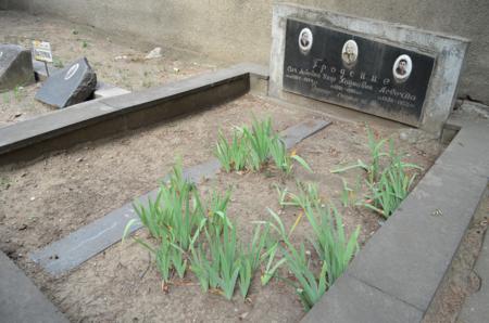 Navtlugi Jewish Cemetery