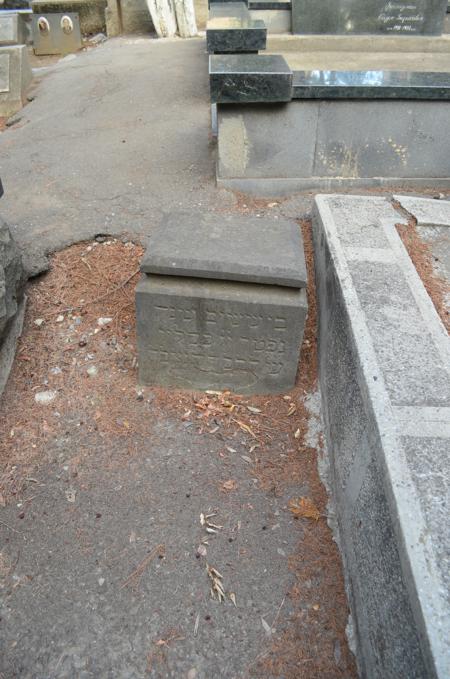 Navtlugi Jewish Cemetery