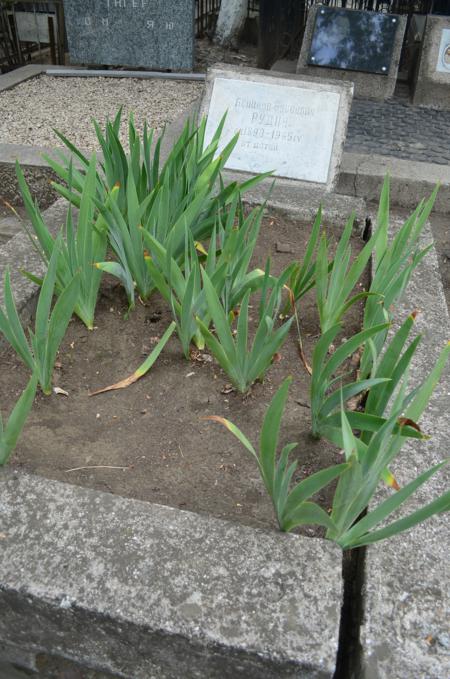 Navtlugi Jewish Cemetery