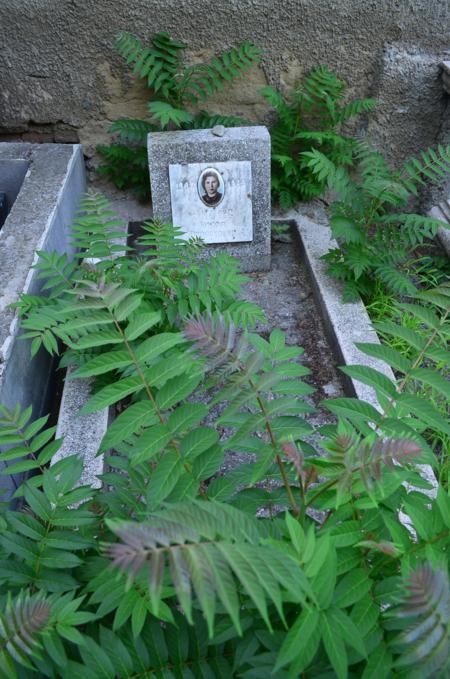 Navtlugi Jewish Cemetery