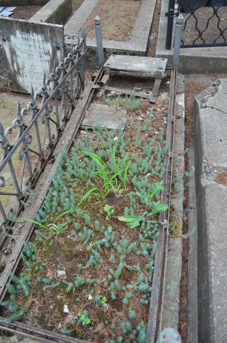 Navtlugi Jewish Cemetery