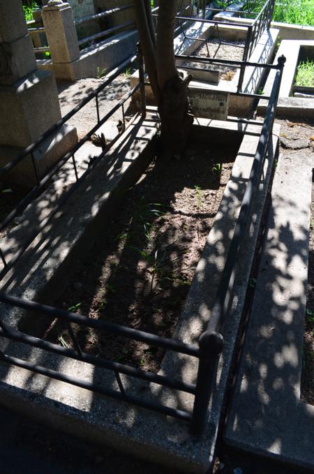 Navtlugi Jewish Cemetery