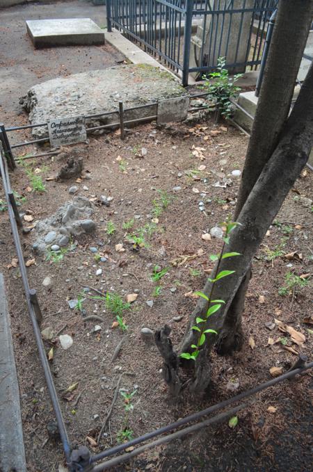 Navtlugi Jewish Cemetery