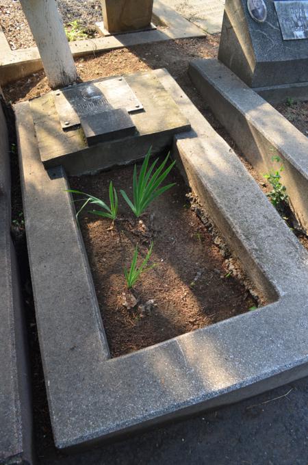 Navtlugi Jewish Cemetery