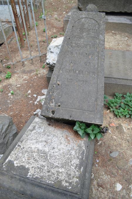 Navtlugi Jewish Cemetery