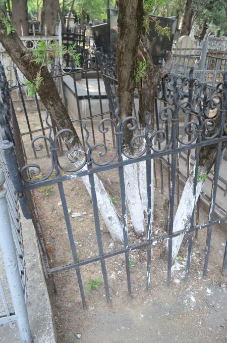 Navtlugi Jewish Cemetery