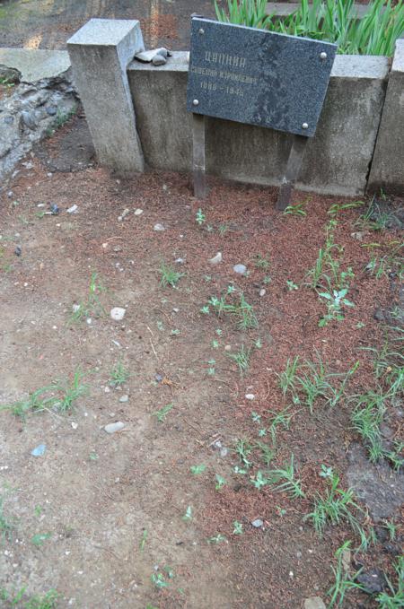 Navtlugi Jewish Cemetery