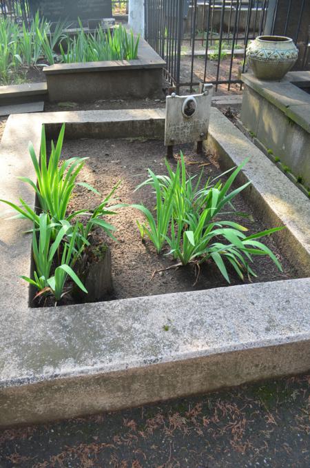 Navtlugi Jewish Cemetery