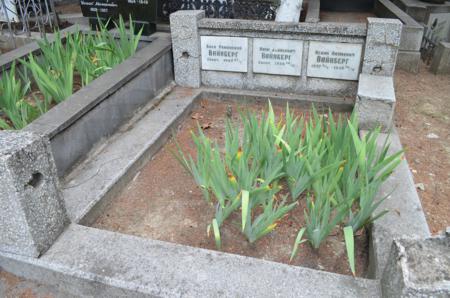 Navtlugi Jewish Cemetery