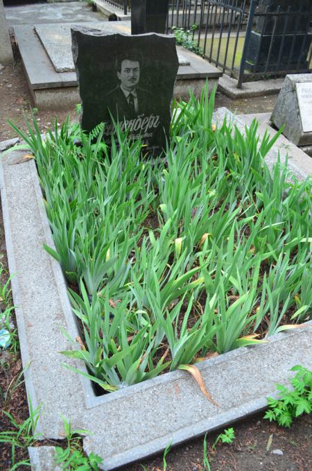 Navtlugi Jewish Cemetery